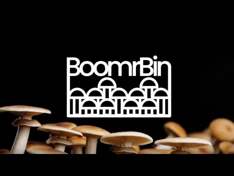 Meet the 'Boomr Bin' Monotub System | The Easiest Way to Grow Mushrooms