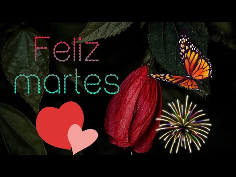 🌸🌱FELIZ MARTES 🌹 😊