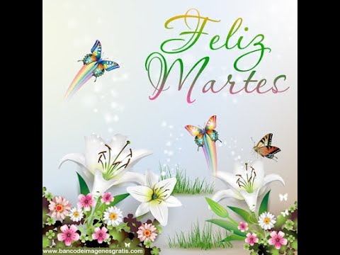 Feliz Martes