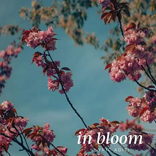 In Bloom