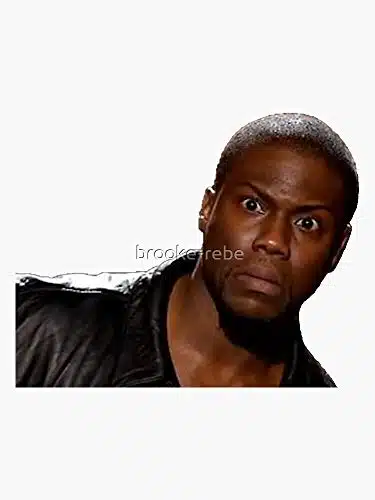 Meme Kevin Hart   Sticker Decal   Decorative Sticker   Scrapebooks, Cars, Windows, Laptops, Waterbottles