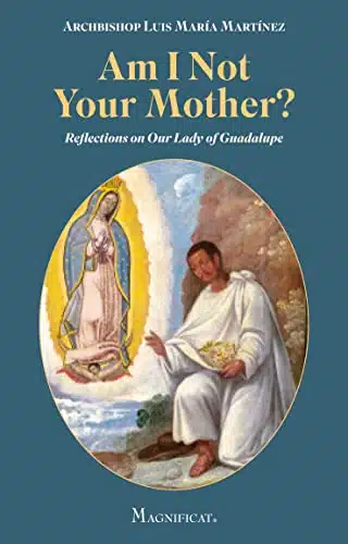 Am I Not Your Mother Reflections On Our Lady Of Guadalupe