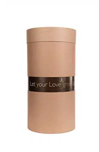 Let Your Love Grow, For People (Large Kit)